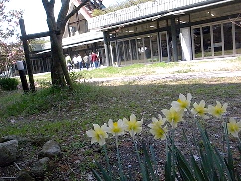 f:id:akinosato:20140328112125j:image