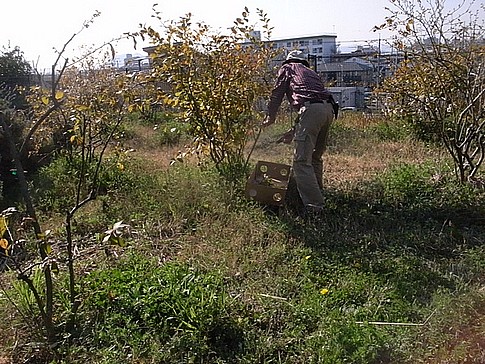 f:id:akinosato:20140328153307j:image