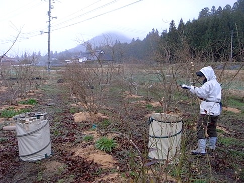 f:id:akinosato:20140330162613j:image