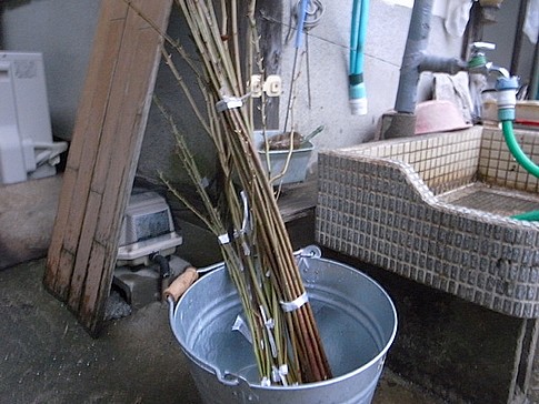 f:id:akinosato:20140330175834j:image
