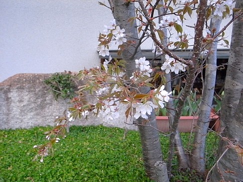 f:id:akinosato:20140404153401j:image