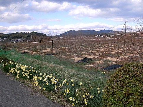 f:id:akinosato:20140406162257j:image