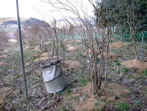 f:id:akinosato:20140406171541j:image