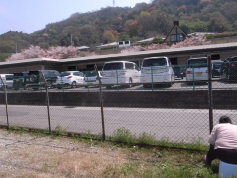 f:id:akinosato:20140408114253j:image
