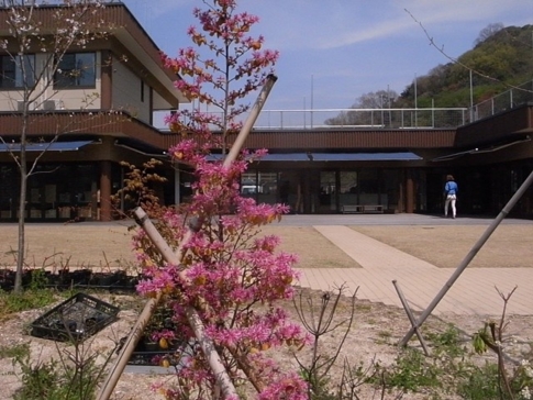 f:id:akinosato:20140408130206j:image