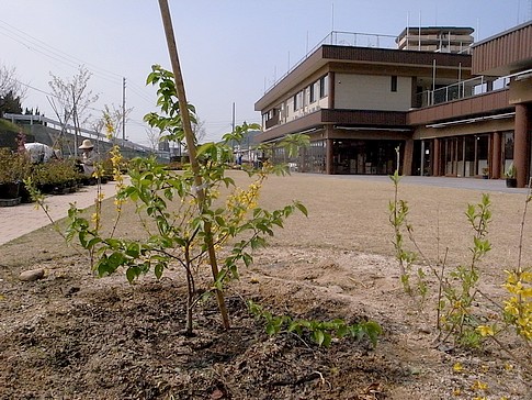 f:id:akinosato:20140411142400j:image