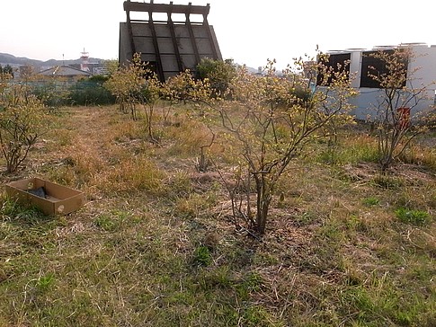 f:id:akinosato:20140411163255j:image