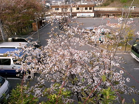 f:id:akinosato:20140411163339j:image