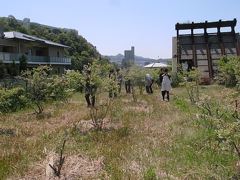 f:id:akinosato:20140423120456j:image
