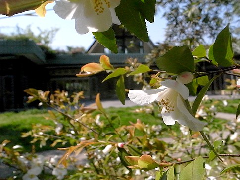 f:id:akinosato:20140425143252j:image f:id:akinosato:20140425143252j:image