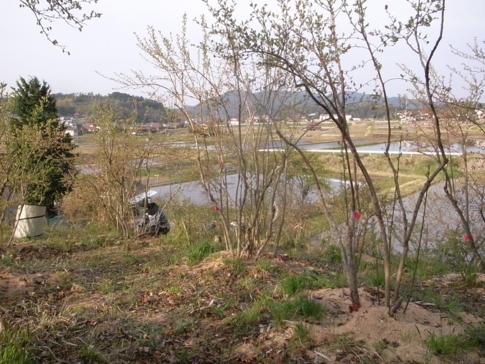 f:id:akinosato:20140427112653j:image