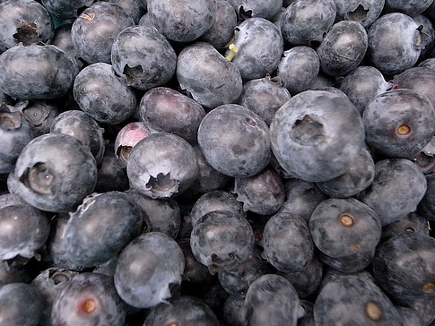 f:id:akinosato:20140602115830j:image f:id:akinosato:20140602115830j:image