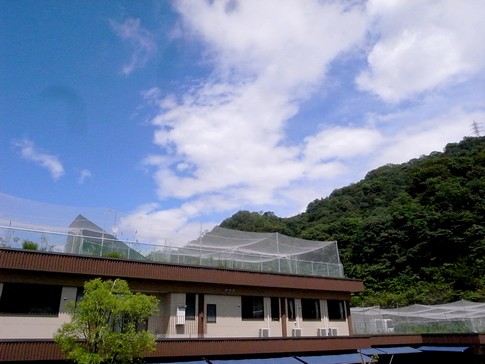 f:id:akinosato:20140704140438j:image