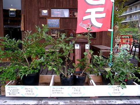 f:id:akinosato:20140904111928j:image