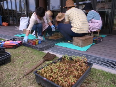 f:id:akinosato:20140905103804j:image f:id:akinosato:20140905103804j:image