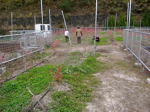 f:id:akinosato:20141126121143j:image