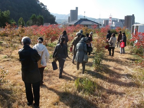 f:id:akinosato:20141210150941j:image