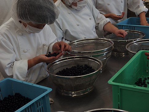 f:id:akinosato:20150828140220j:image