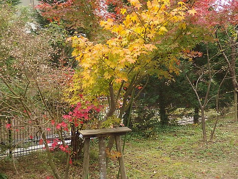 f:id:akinosato:20151204132002j:image