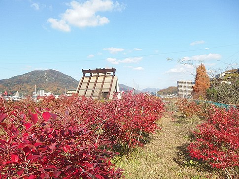 f:id:akinosato:20151207135130j:image
