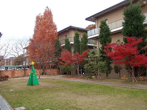 f:id:akinosato:20151208150950j:image f:id:akinosato:20151208150950j:image