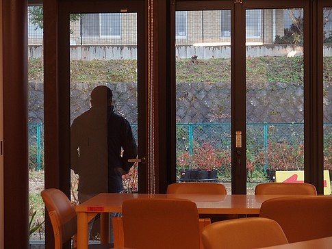 f:id:akinosato:20151215130247j:image