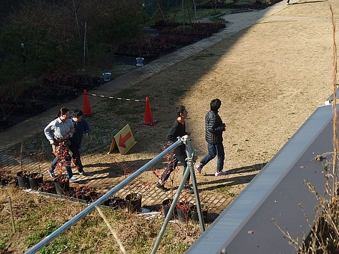 f:id:akinosato:20151224124634j:image