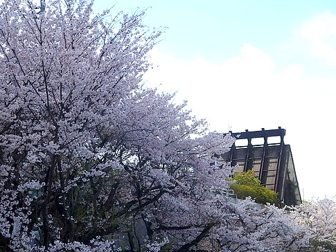 f:id:akinosato:20160404111830j:image