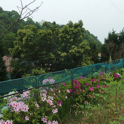 f:id:akinosato:20160427115233j:image