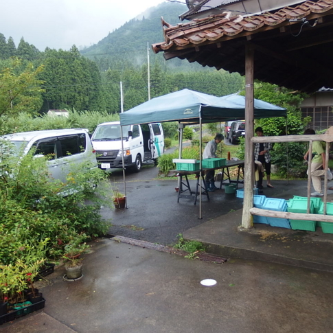f:id:akinosato:20160731152606j:image