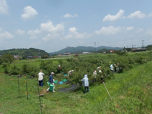 f:id:akinosato:20160801130737j:image