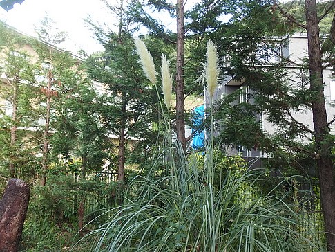 f:id:akinosato:20160824163219j:image