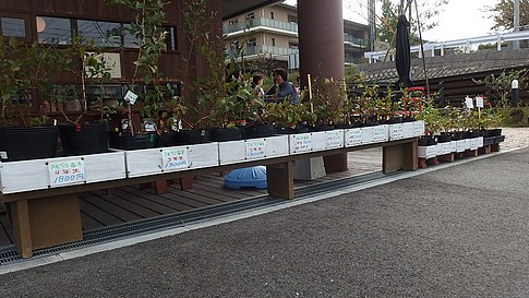 f:id:akinosato:20161021121612j:image