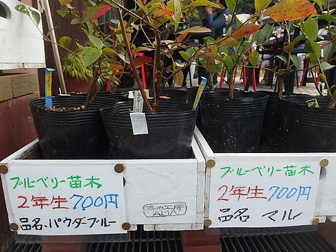 f:id:akinosato:20161021121706j:image