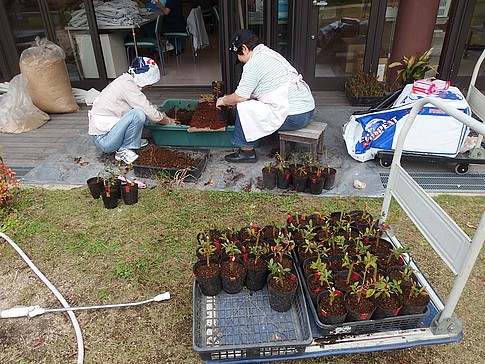 f:id:akinosato:20161021134013j:image
