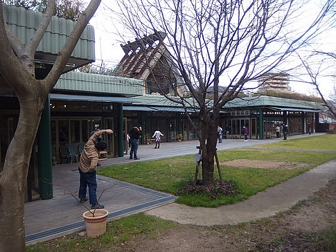 f:id:akinosato:20170113101412j:image