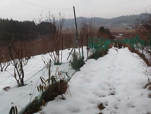 f:id:akinosato:20170129133407j:image