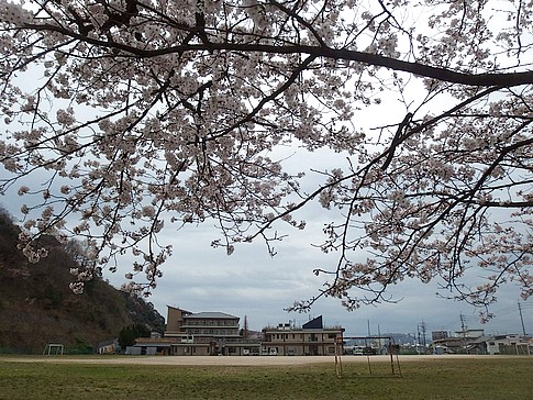 f:id:akinosato:20170406103025j:image