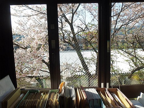 f:id:akinosato:20170413161959j:image f:id:akinosato:20170413161959j:image