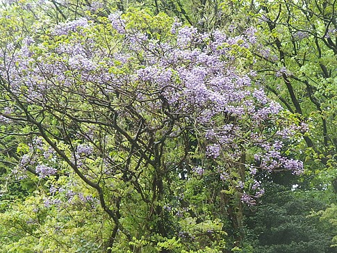 f:id:akinosato:20170426155940j:image