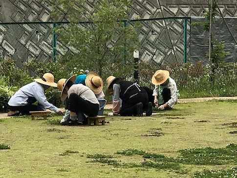f:id:akinosato:20170628135352j:image