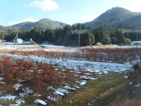f:id:akinosato:20171217144710j:image