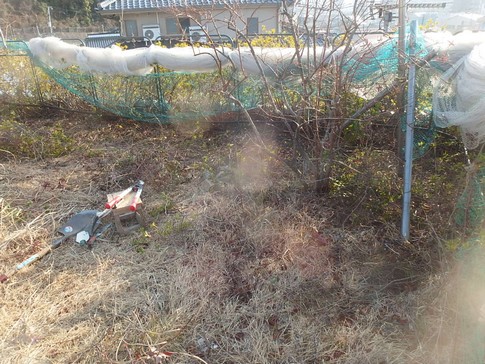 f:id:akinosato:20180220162441j:image
