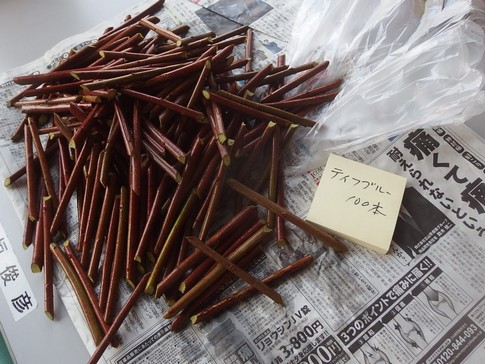 f:id:akinosato:20180301100237j:image