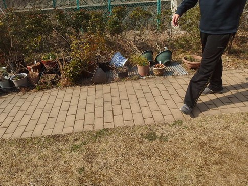 f:id:akinosato:20180301102131j:image