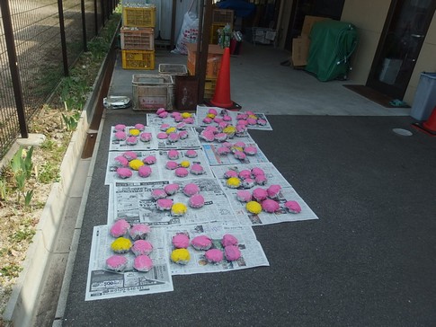 f:id:akinosato:20180329144455j:image