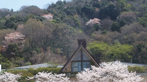 f:id:akinosato:20180401202136j:image