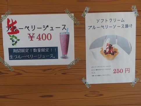 f:id:akinosato:20180613133339j:image