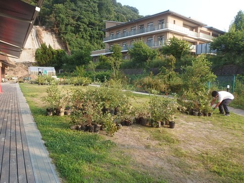 f:id:akinosato:20180718174952j:image