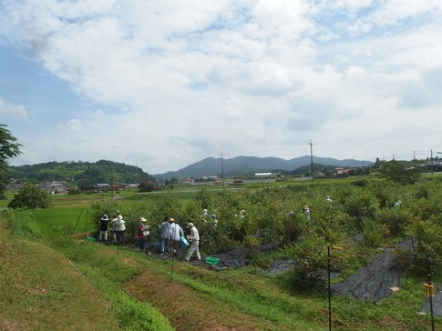f:id:akinosato:20180728110935j:image